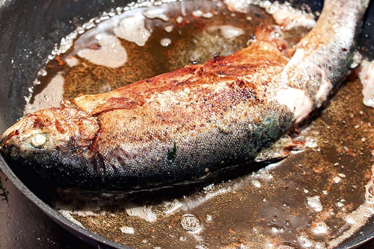 Die Forelle jetzt bei mittlerer Hitze braten. Nach fünf Minuten die Forelle wenden und noch einmal 3 bis 4 Minuten von der anderen Seite braten. Foto: Artur Jagiello