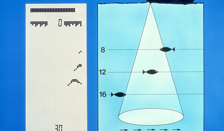 Zeichnung vom Sendekegel eines Echolots und Darstellung der Fische auf dem Display. Wo genau sich der Fisch vom Boot aus befunden hat, kann man bei einem herkömmlichen Echolot nicht sagen.