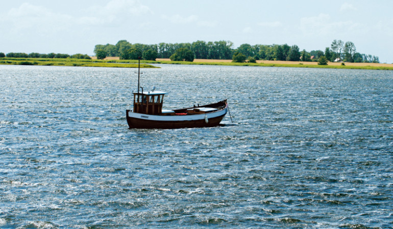 Die Bodden bei Rügen zeigen heute kaum noch Zeichen des Fischsterbens zum Jahreswechsel. Aber die Situation ist nicht so friedlich, wie es aussieht.