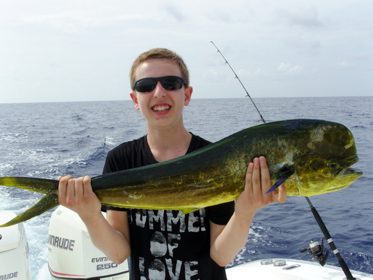 Mahi Mahi aus Florida BLINKER