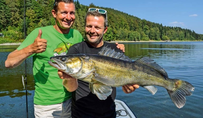 Angeln in der Bleilochtalsperre: Tobi Voigt (re.) und Autor Veit Wilde (li.) freuen sich über einen 87er Zander aus der Bleilochtalsperre. Foto: BLINKER/V. Wilde