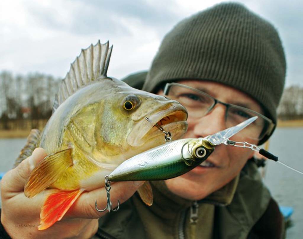 Gunnar Schade kennt keine Gnade: Auch im Winter geht er mit Wobblern auf Barschjagd. Mit Erfolg, wie dieser prächtige Stachelflosser zeigt.