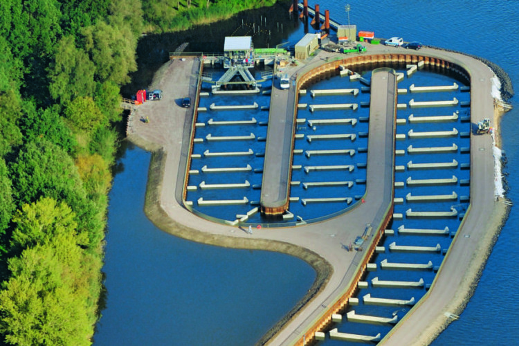 Die Fischtreppe bei Geesthacht. Wegen der fehlenden Lockströmung kann der Stint die Ausweichroute nicht nutzen, sodass Tausende von Fischen vor dem Wehr verenden. Foto: Vattenfall