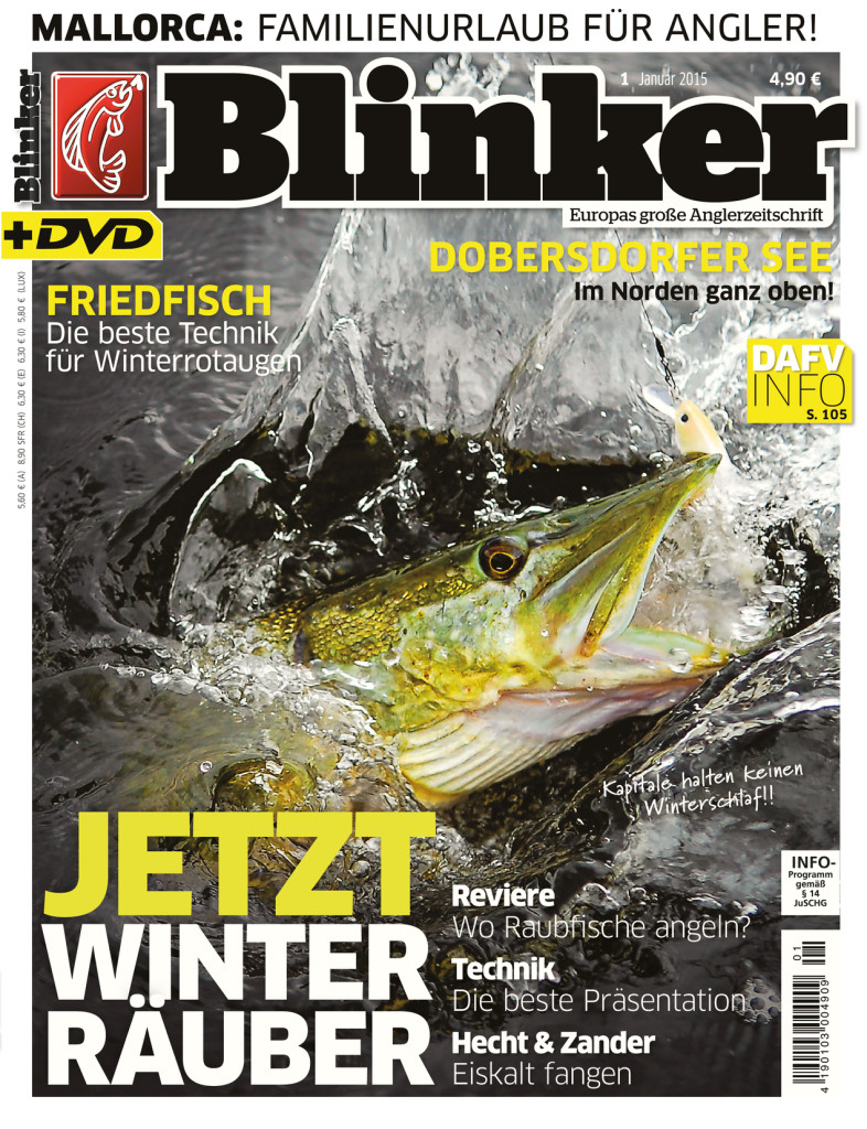Blinker Ausgabe 01/2015