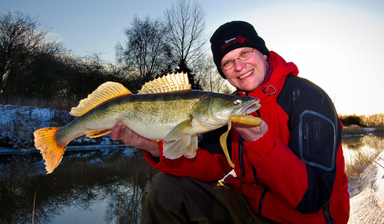 Auch dicke Zander ziehen sich gerne im Winter in die flachen Gewässerbereiche im Fluss zurück. Foto: W. Krause