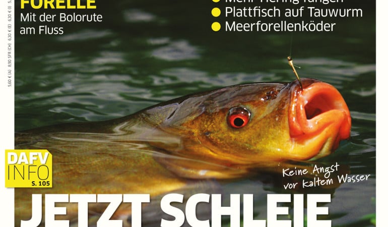 Blinker Ausgabe 04/2015