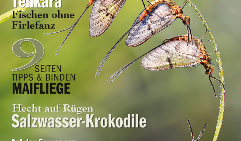 FliegenFischen Ausgabe 3/2015