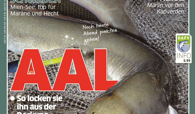 Blinker Ausgabe 08/2015