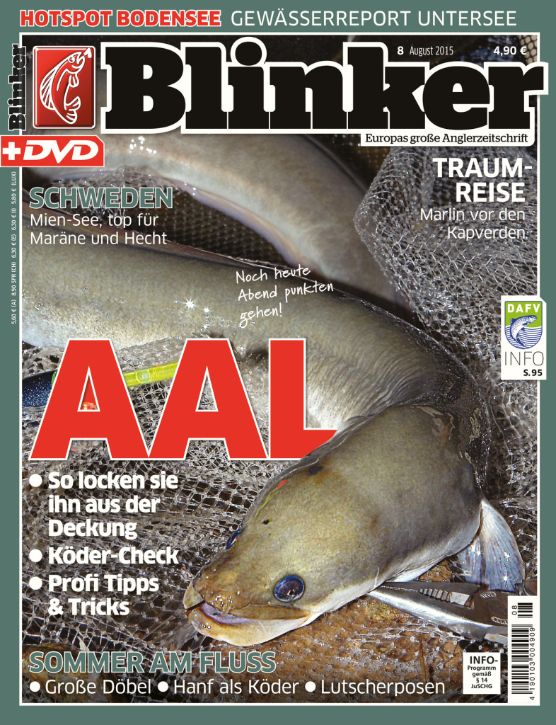 Blinker Ausgabe 08/2015