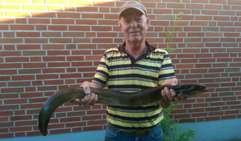 Horst Habermann fing seinen Großaal bei strahlendem Sonnenschein. © H. Habermann