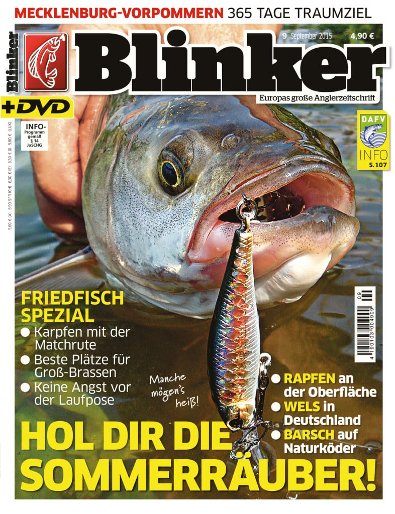 Blinker Ausgabe 09/2015