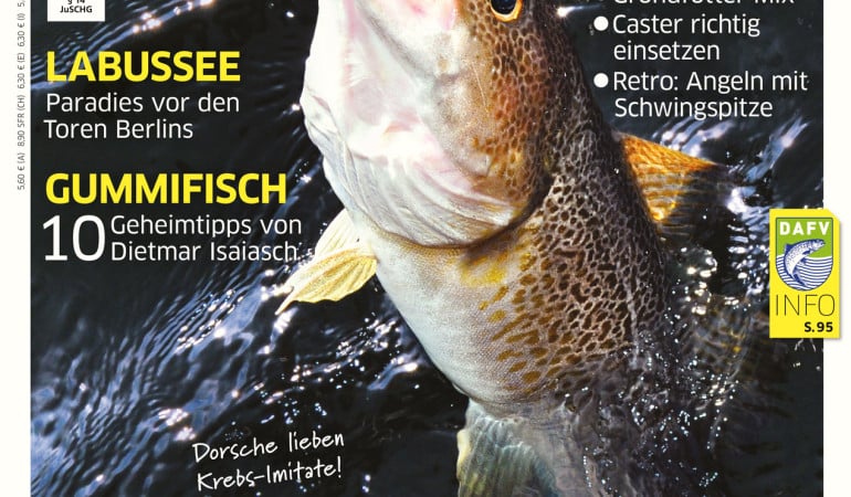 Blinker Ausgabe 11/2015