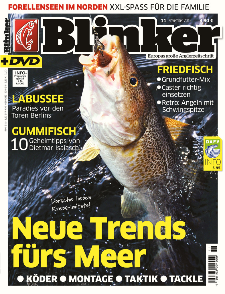 Blinker Ausgabe 11/2015