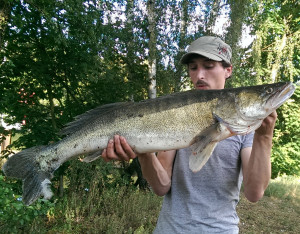 Maik Tödter mit seiner Pracht-Meerforelle aus der Weser. © M. Tödter