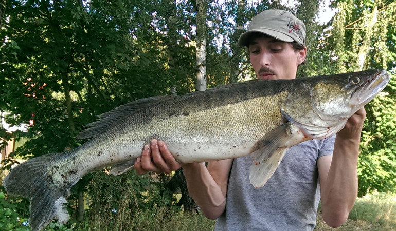 Maik Tödter mit seiner Pracht-Meerforelle aus der Weser. © M. Tödter