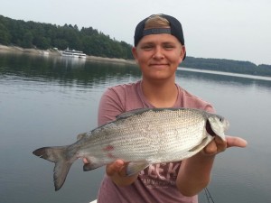 Lars Przyklenk fing diese Renke beim Jiggen im Möhnesee. © L. Przyklenk