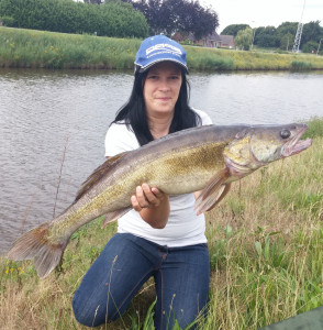 87 Zentimeter: Martina Brünings bislang größter Zander stammt aus einem holländischen Kanal. © M. Brüning