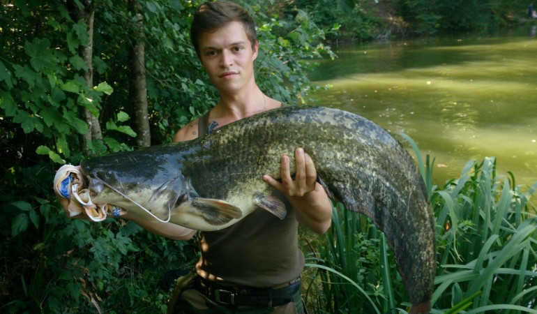 Überraschung beim Forellenangeln: Statt einer Forelle nahm dieser Wels den Köder von Angler Kevin Sommer. © B. Fuchs