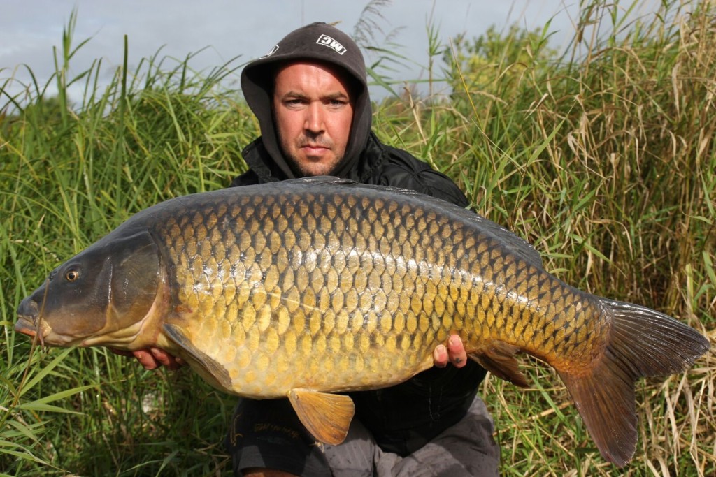 Diesen 98 Zentimeter großen Karpfen konnte Sebastian im September in einem Kiessee mit auffälligen Boilies fangen. © Sebastian Blischke