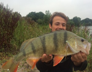 In einer Tiefe von 8 Meter konnte Johnathan diesen 52 Zentimter großen Barsch auf einen grellen Spinner fangen. © Jonathan de Jong 