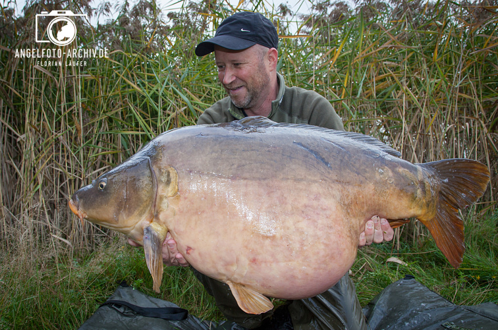 Dick wie ein Schwein: Florian Läufer mit seinem Spiegelkarpfen aus einem norddeutschen Gewässer. © www.de.purefishing.com