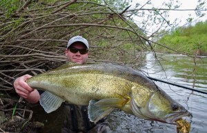 Dieser fette Zander ließ sich mit einem Streamer zum Biss verleiten. © www.hardyfishing.com