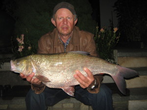 Was für ein Fisch. Der Aland von Heribert Hock aus dem Main wog über 9 Pfund. © H. Hock