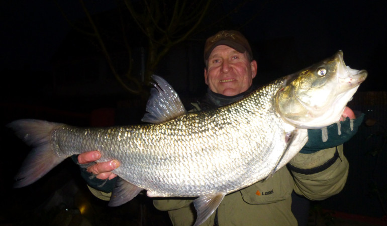 Was für ein Fisch: Markus Schader freut sich über seinen 80er Rhein-Rapfen. © M. Schader