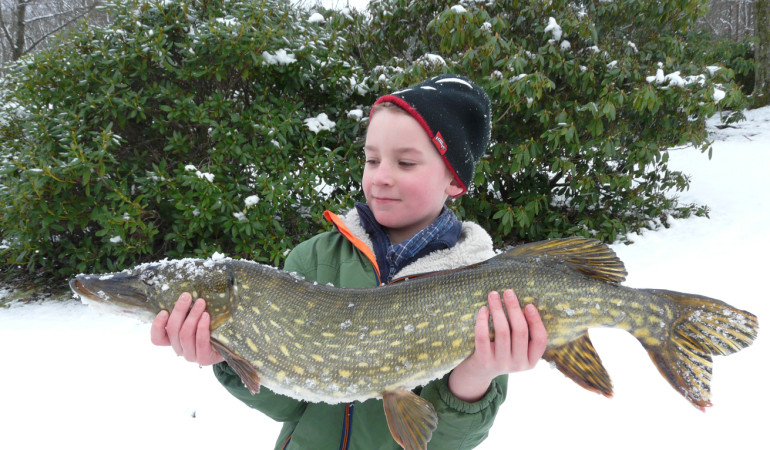 Jannik Kühnel mit seinem „eiskalten" Hecht, den er mit Papas Hilfe landen konnte. © J. Kühnel