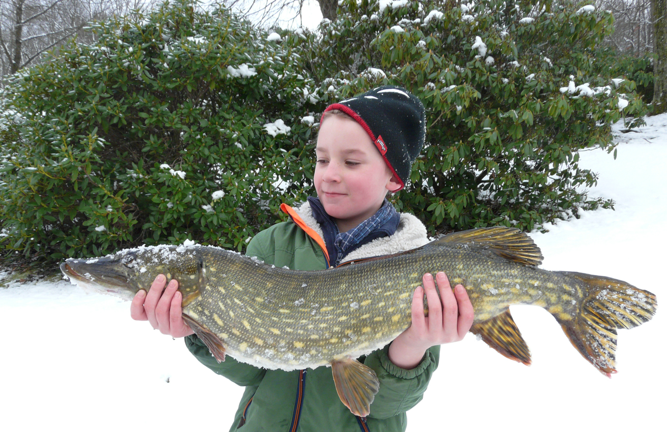 Jannik Kühnel mit seinem „eiskalten" Hecht, den er mit Papas Hilfe landen konnte. © J. Kühnel