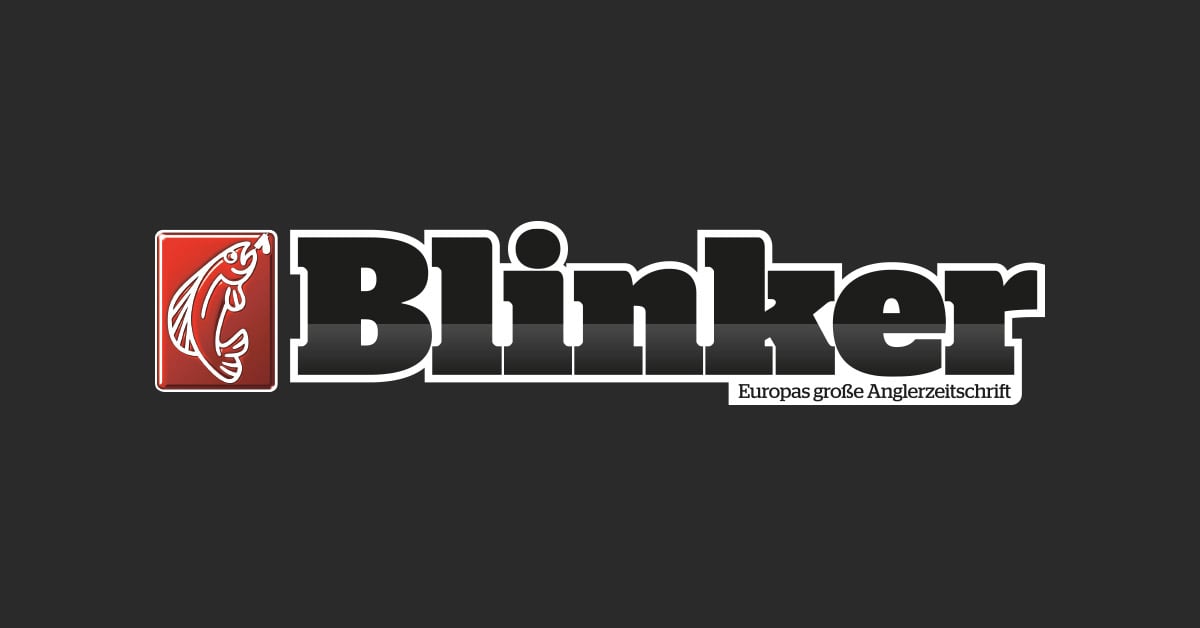 (c) Blinker.de
