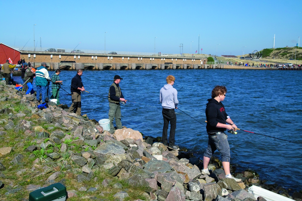 Heringsangler vor der bekannten Schleuse von Hvide Sande - einem der Herings-Hotspots Dänemarks.