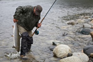 Die Gaula ist bekannt für ihre großen Lachse! Hier landet Michael Werner gerade einen 8-Kilo-Lachs im Bridge Pool-