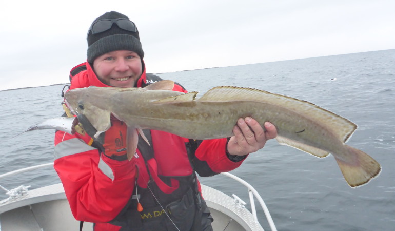 Der Giant-Jighead, in Kombination mit einer fettigen Makrele, holte diesen Leng aus einer Tiefe von 80 Meter nach oben ins Boot.