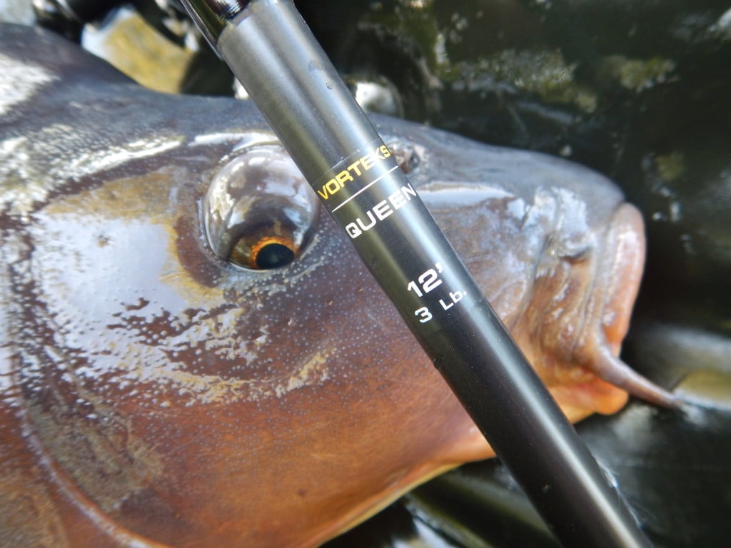 Auf Karpfenruten findet man häufig eine Angabe der Testkurve in "lb". Foto: Gregor Bradler