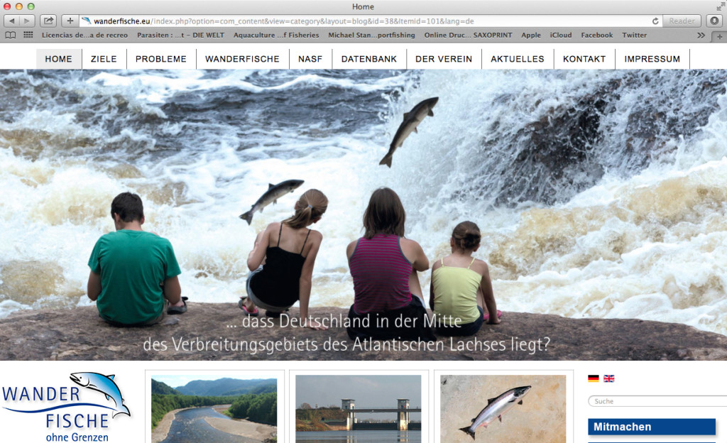 Die Homepage von "Wanderfische ohne Grenzen" informiert Sie umfassend zu unseren Wanderfischen. Zu diesen gehören Lachs, Meerforelle, Aal, Stör, Maifisch und Schnäbel. 