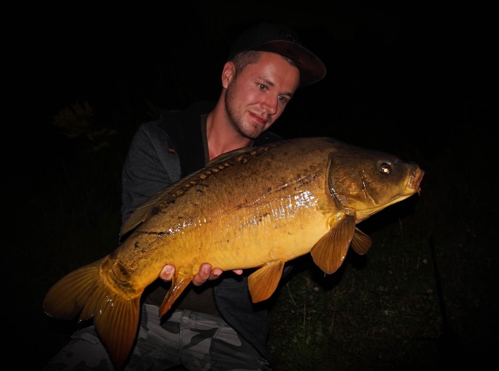 Karpfenangeln Spiegelkarpfen