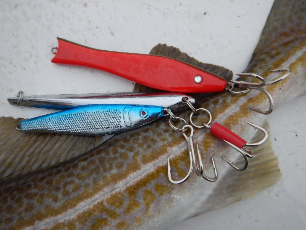 Pilker bringen die Dorsche an den Haken. Aber auch mit Gummifischen und Köderfischen bekommt man Bisse. Foto: Gregor Bradley