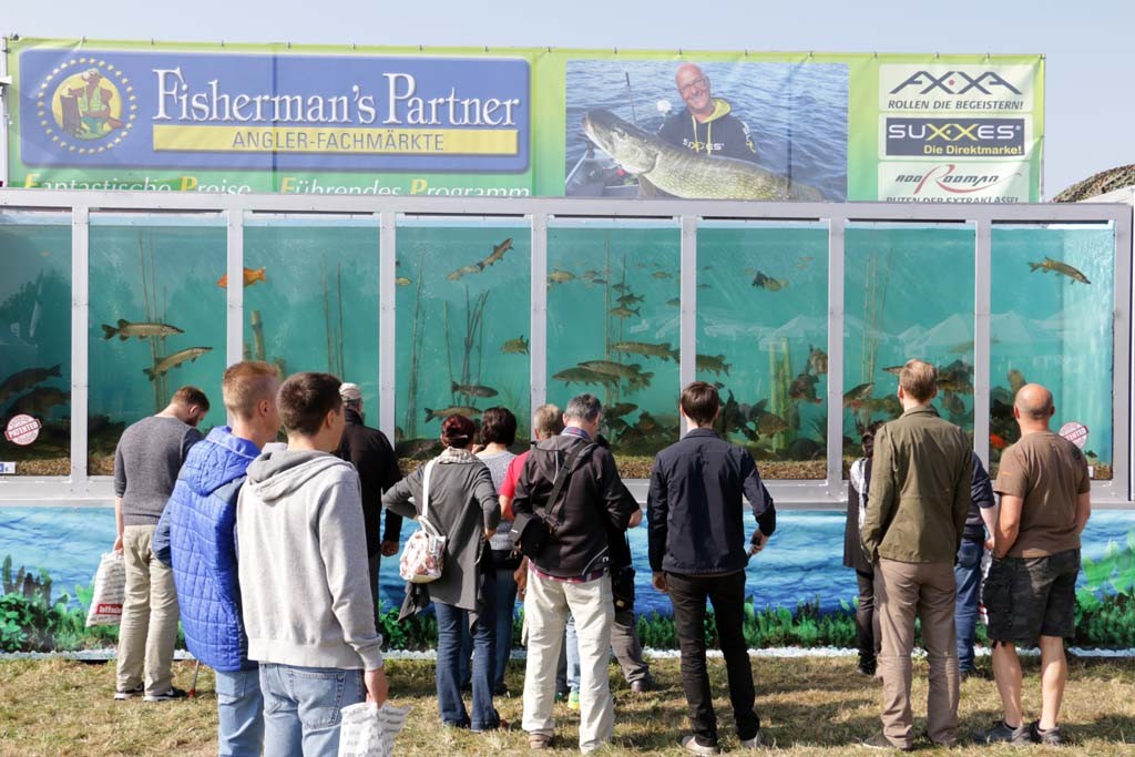 Das mobile Aquarium ist ein echter Besucher-Magnet.