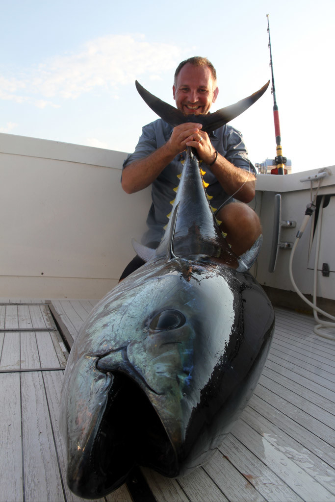 Solche kapitalen Blauflossenthunfische lassen sich im Mittelmeer vor Spanien fangen. 