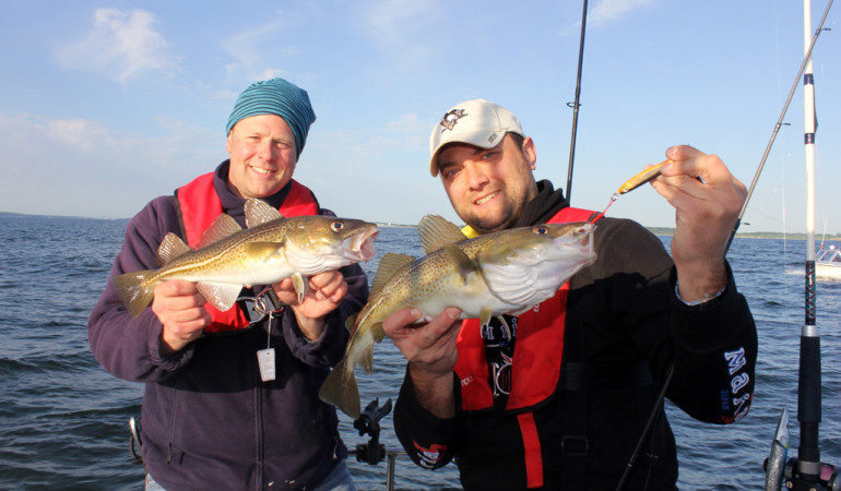 Neue Dorsch-Fangquoten 2017 für die Ostsee betreffen uns auch Angler.