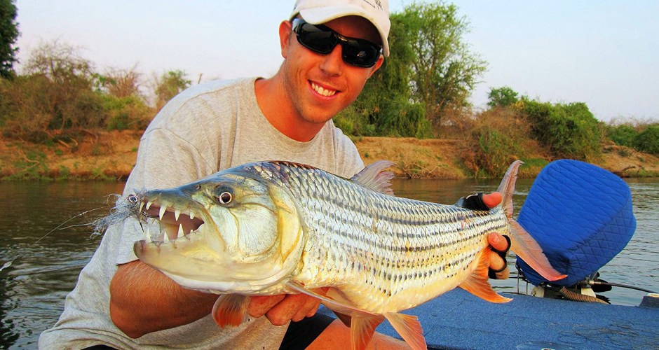 Fliegenfischen Auf Tigerfish Das Flussmonster Aus Afrika