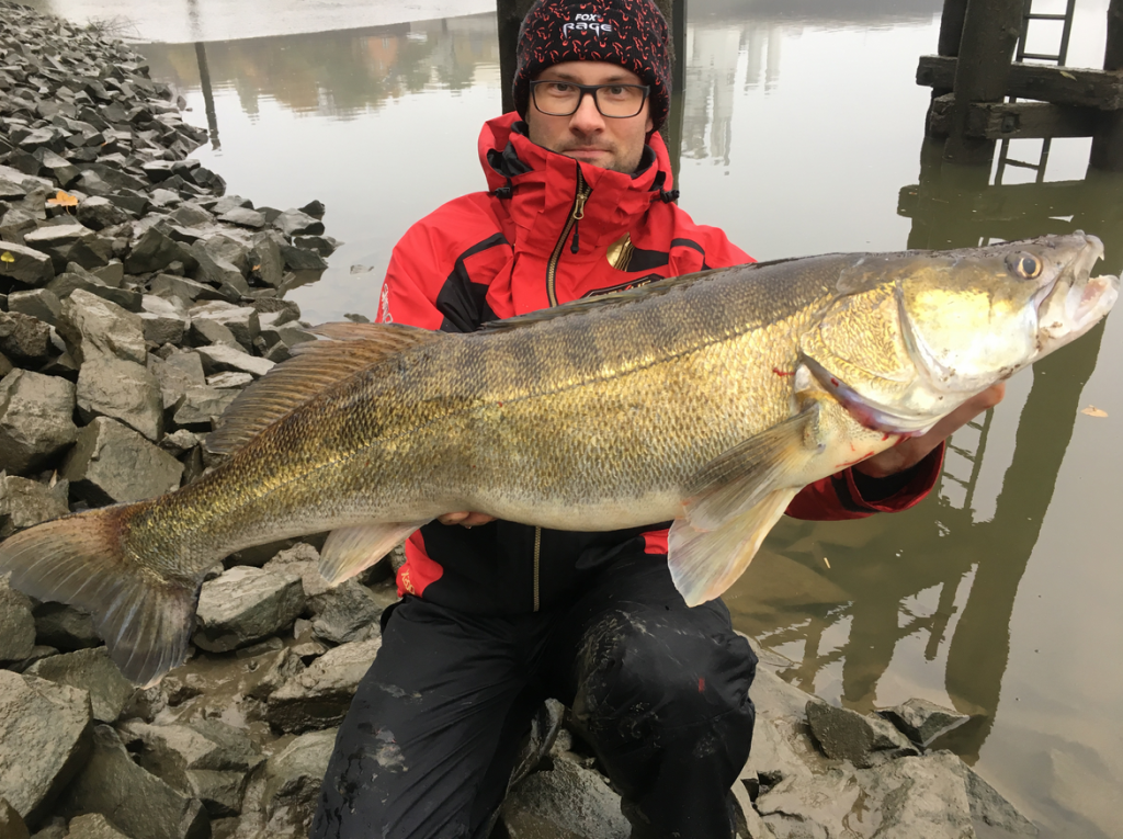 Im Hamburger Hafen konnte Florian dieses kapitale Exemplar bei Streetfishing-Event fangen. 