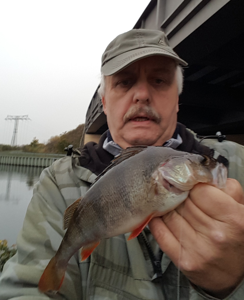 Herbst-Barsche: Dieter Kolodziej mit seinem Barsch aus dem Teltowkanal bei Berlin. Foto: D. Kolodziej