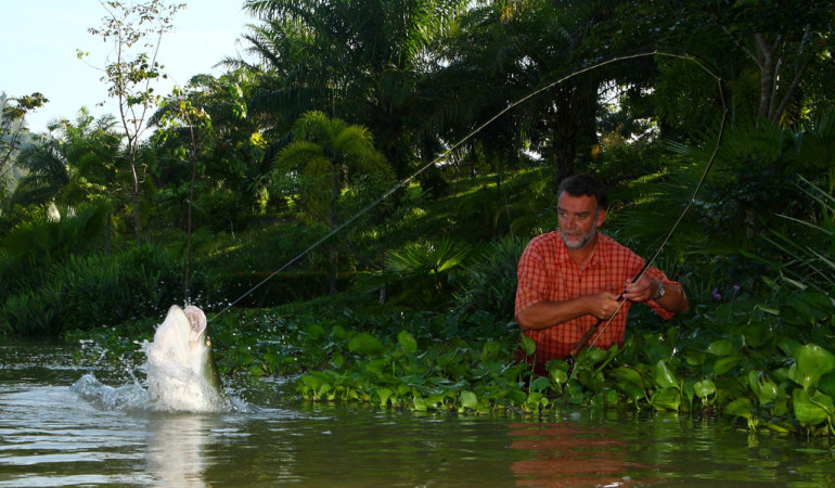 Angeln in Thailand: Arapaimas gehören zu den größten Süßwasserfischen der Welt. Sie können über zwei Meter lang werden und entwickeln eine enorme Kampfkraft, die einen Drill mehrere Stunden dauern lassen können. Foto: O. Portrat