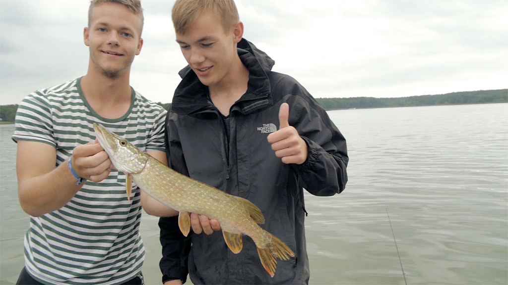 Nicht nur Barsche, sondern auch Hechte schauten kurz bei den Fischköppen im Boot vorbei. 