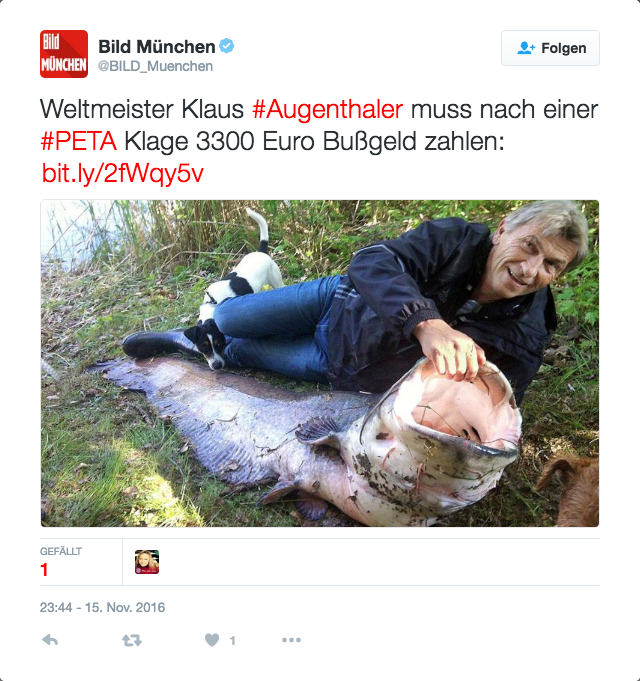 Angelverband kritisiert Klaus Augenthaler für Wels-Fang. Die Bild-Zeitung berichtet auf ihren Twitter-Account. 