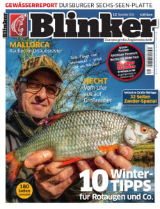 Blinker Dezember