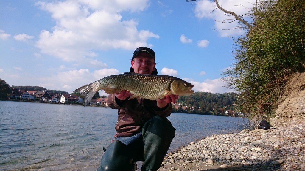 Der einzige Fisch des Tages, aber was für einer: Dieser 60er Döbel nahm den Wobbler von Alexis Zahn. Foto: A. Zahn