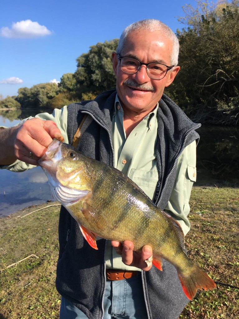 Herbst-Barsche: Giereth freut sich über seinen Barsch aus dem Irnsinger See. Der Fisch biss auf einen Effzett-Blinker. Foto: Giereth